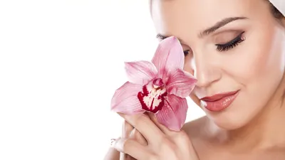 Studio Urody SHINTAI